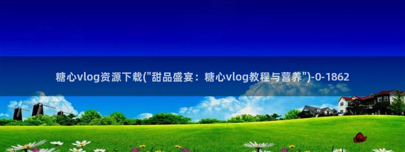 糖心valg