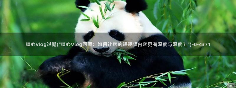 糖心vlgo精品一区二区